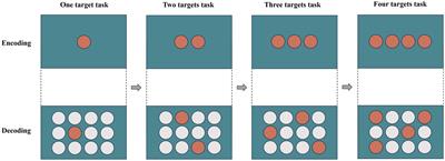 Frontal lobe epilepsy: an eye tracking study of memory and attention